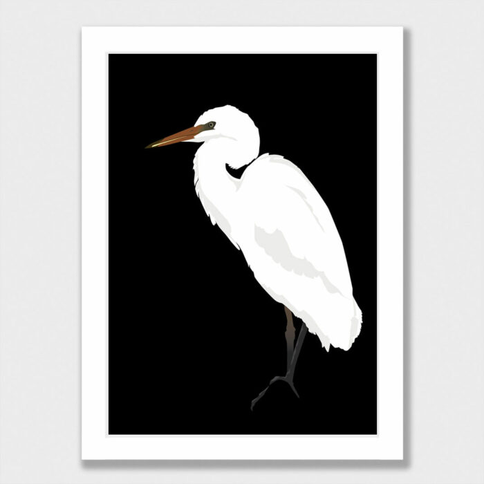 Kōtuku: Art print of a White Heron on a rock framed in simple style white frame.
