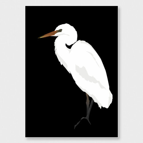 Kōtuku: Art print of a White Heron on a rock