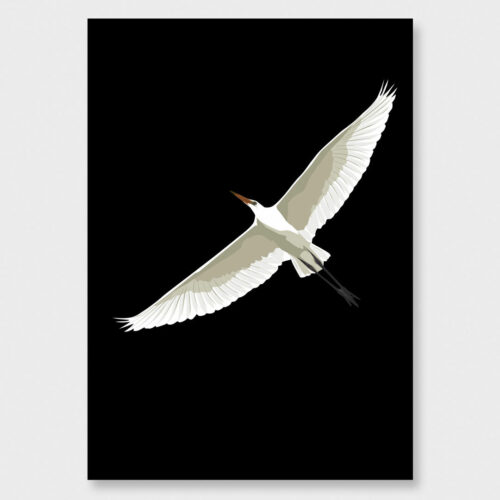 Kōtuku, white heron, in flight art print