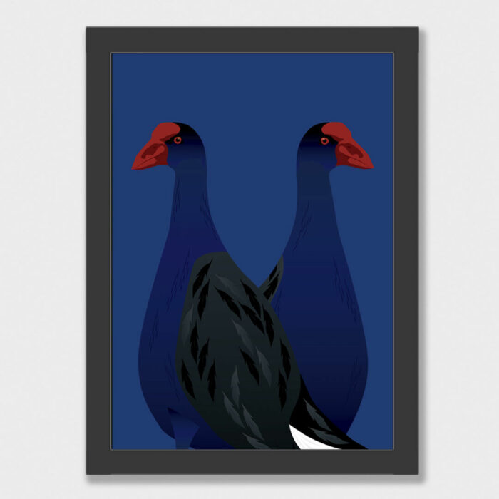Pair of Pūkekos art print framed in a simple style black frame